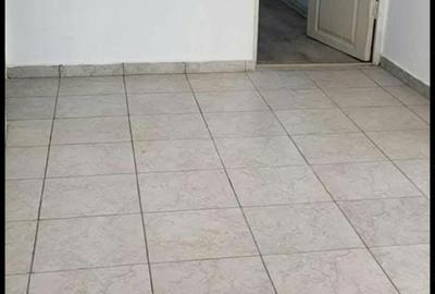 Casă cu Teren 400 Mp în Cobadin - 2