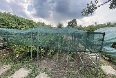 Casa | 9 camere | Garaj | Piscina | Teren 3.000 mp | Comision 0% Casa | 9 camere | Garaj | Piscina | Teren 3.000 mp | Comision 0% - 40