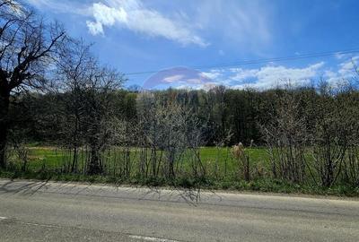 Teren Construcții intravilan de 10000 mp, în Nemțișor - 8