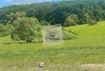 Casa 4 camere 2 bai balcon si gradina in Rasinari Casa 4 camere 2 bai balcon si gradina in Rasinari - 3