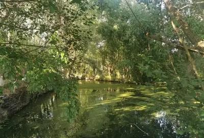 Teren in Contesti, Dambovita - 6