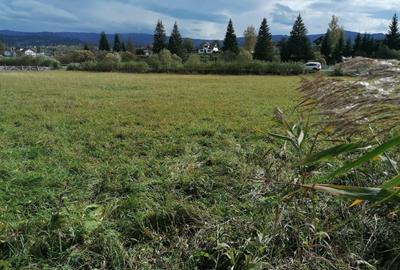 Teren in Bucovina zona Dorna Arini - 2