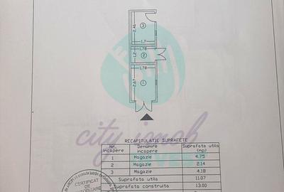 Vilă în Cotroceni | Curte proprie | Gradina Botanică-Palat-Carol Davilla - 13