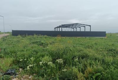 Teren de vanzare, Frumusani, Ilfov, ideal investitie, DNCB - 7