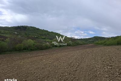 Teren de 5000 mp, în Gușterița - 3