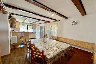 Pensiune/Cabana de vanzare, 6 camere, in Belis, Balcesti - 9