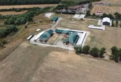 Teren în Crânguri - 2