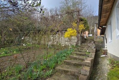 Casă de vânzare zona Viilor, Sighisoara - 16