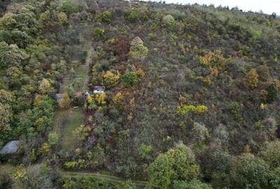 Teren 18,300mp Ghioroc - 9