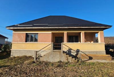 Casă cu 3 camere cu Teren 2300 Mp în Borza - 4