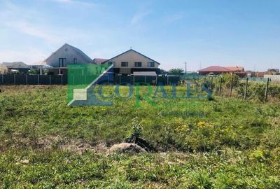 Teren pt construit, in vatra satului, front mare! Teren pt construit, in vatra satului, front mare! - 3