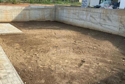 Casă cu 4 camere cu Teren 250 Mp în Vlaha - 2