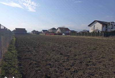 Teren de 910 mp, în Stupini