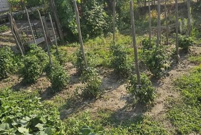 Casa de vanzare orasul Geoagiu, jud. Hunedoara - 3