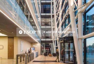 Spațiu comercial, de 627 mp, în Barbu Văcărescu - 3