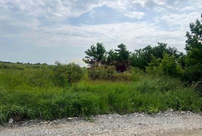 Teren Saftica- strada Albinelor. - 2