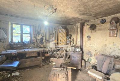 Casa cu teren in localitatea Simand - 11