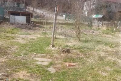 Casă cu Teren 5 Mp în Central - 5