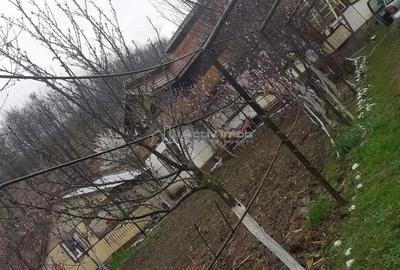 Casă cu 5 camere cu Teren 1200 Mp în Tisău - 1