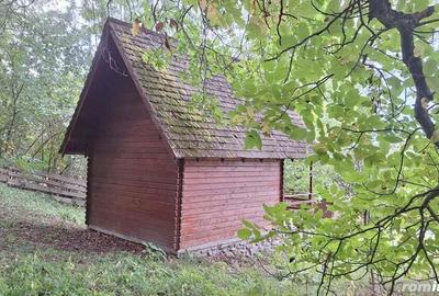 VANZARE ANSAMBLU CASUTE BRADULET ARGES - 15