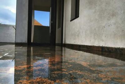 Vand Vila Valu lui Traian - 2