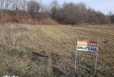 Teren de 5000 mp, în Crăcăoani - 5