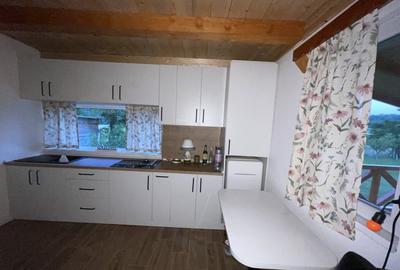 Casă cu 1 camere cu Teren 2499 Mp în Periferie - 8