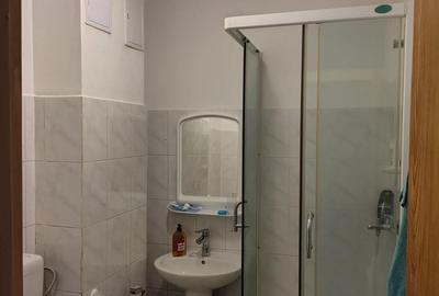 Apartament cu 3 camere semidecomandat în Colentina - 9