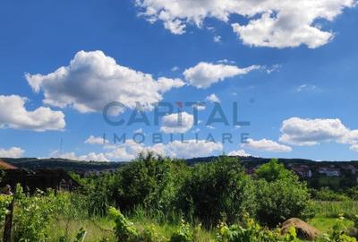 COMISION 0! Teren constructii 2505mp, zona strazii Borhanci, priveliste! - 2