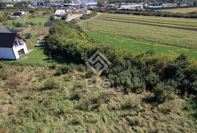 Teren Intravilan - Viisoara - 14