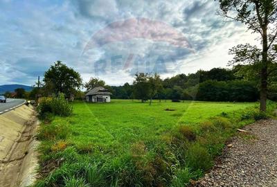 DE VANZARE: Teren ideal pentru dezvoltare turistica - 3