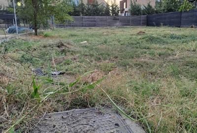 Spațiu comercial, în Tamași