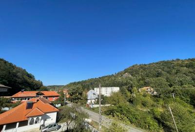 Proprietate D+P+1+M - Baile Sacelu *poten?ial de business Proprietate D+P+1+M - Baile Sacelu *poten?ial de business - 10