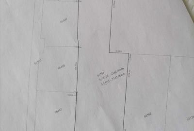 Spațiu comercial, în Tomești - 3