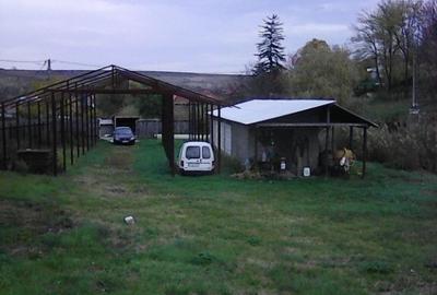 Teren de 3000 mp, în Rădeni - 4