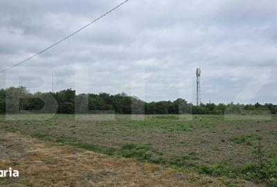 Teren de 5000 mp, în Lucian Blaga - 2