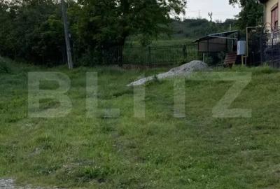 Teren de 21450 mp, în Turda - 4