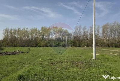 Teren în Țegheș - 6