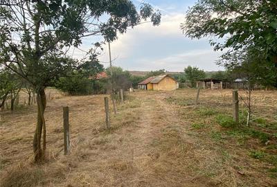 Casă cu 6 camere cu Teren 3400 Mp în Sprâncenata - 4