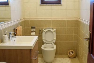 Vila 6 camere | Mogosoaia | Padurea Mogosoaia | Curte mare | Ready to move - 7
