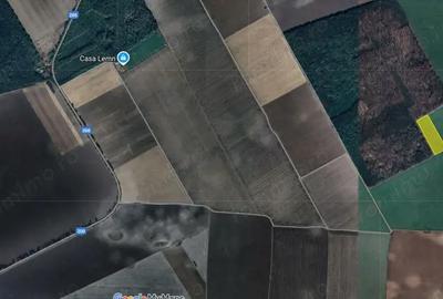 Teren de 22100 mp, în Grădiștea - 2