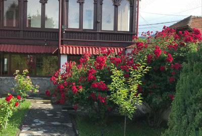 Casă cu 6 camere în Pietroșița - 3