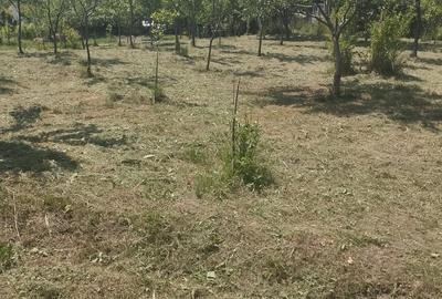 Casă în Noțig - 3