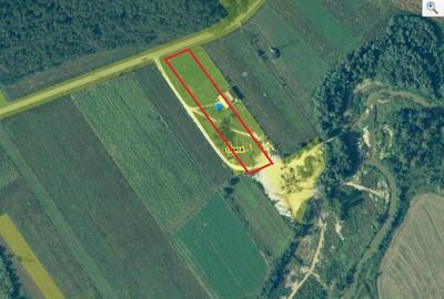 Teren agricol extravilan de 5800 mp, în Creaca - 2