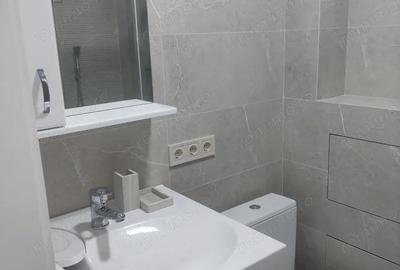 Garsonieră decomandată în Buziașului