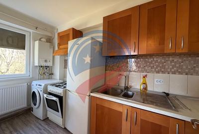 Garsonieră semidecomandată în Cornitoiu - 3