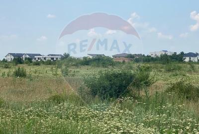 DE VANZARE Teren intravilan 600mp Drumul Piscul Mosului SISESTI - 18