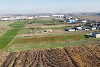 Teren intravilan 700 MP | Strada Careiului Nr. 87 | Loc. Vetis - 9