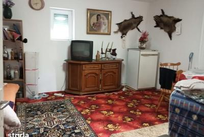 Casă cu 3 camere cu Teren 3320 Mp în Căpușu Mare - 14