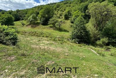 Teren intravilan 8500mp Rasinari - 4